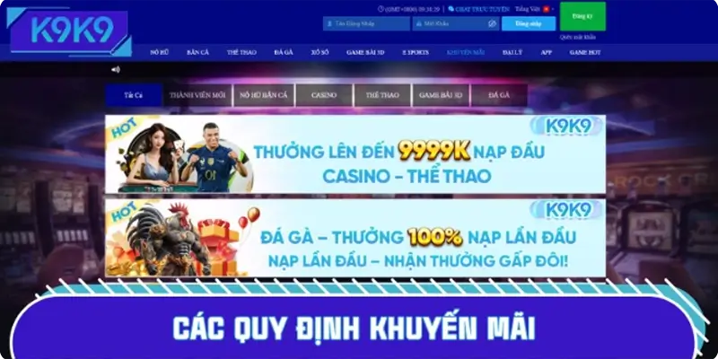 Các quy định khuyến mãi