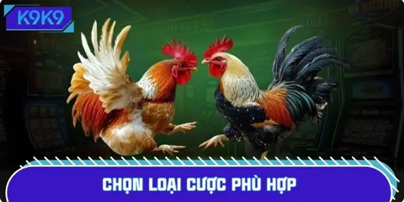 Chọn loại cược phù hợp dựa trên sức mạnh và chiến thuật