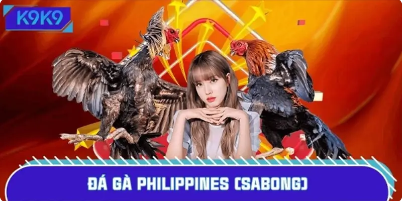 Đá Gà Philippines (Sabong): Sân Chơi Đỉnh, Hút Triệu Bet Thủ