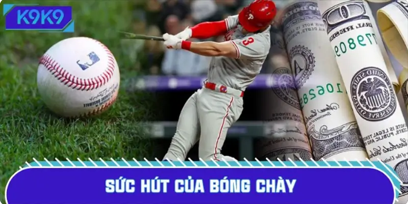 Khám phá sức hút khó cưỡng của sân bóng