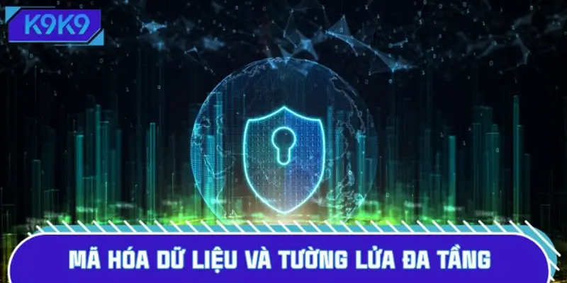 Mã hóa dữ liệu, tường lửa