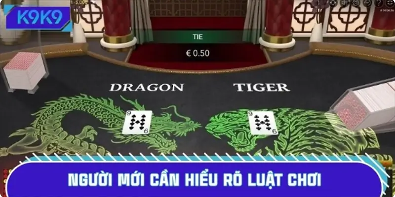 Người mới cần hiểu rõ luật chơi Dragon Tiger (Rồng hổ)
