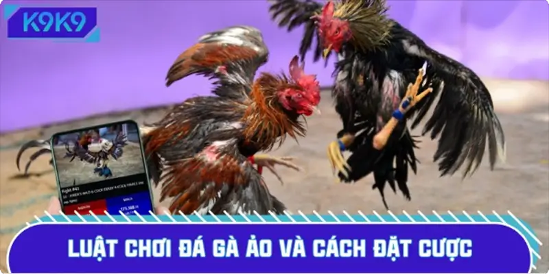 Tìm hiểu luật lệ chi tiết khi chơi đá gà ảo