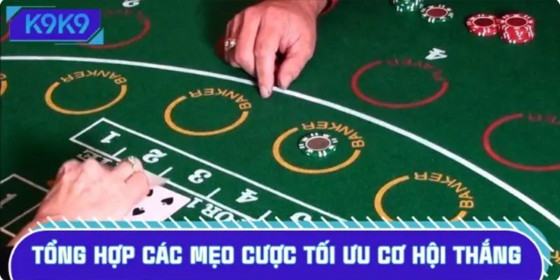 Tổng hợp các mẹo cược tối ưu cơ hội thắng